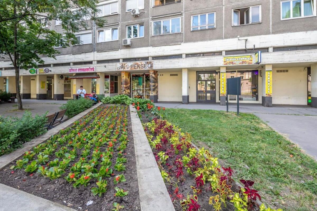 Cozy Quiet Apartment With A Balcony Budapeste Exterior foto